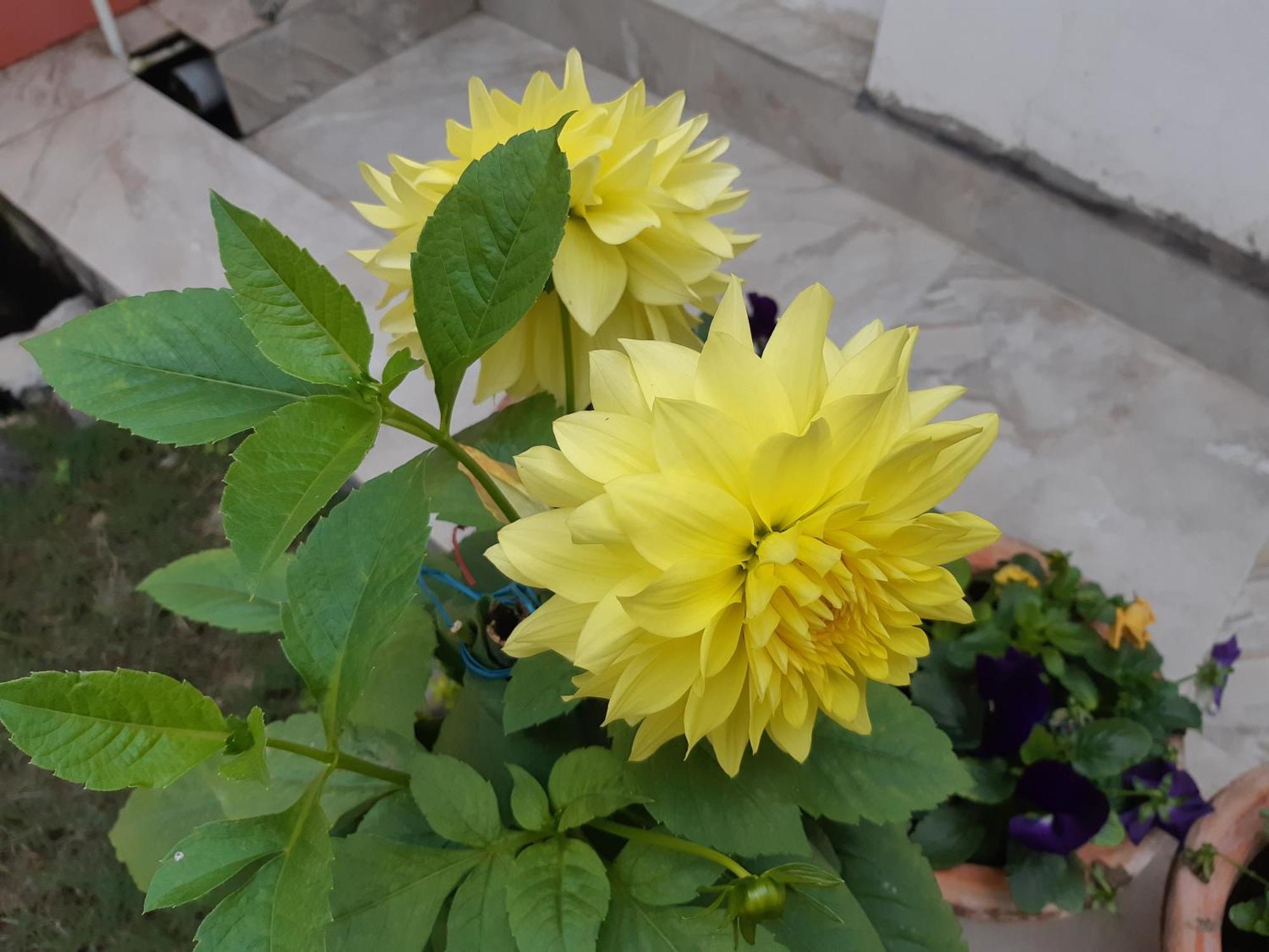 Fully Furnished Ish, Atithya Homestay With Various Amenities And Free Services In Lucknow, India Luaran gambar